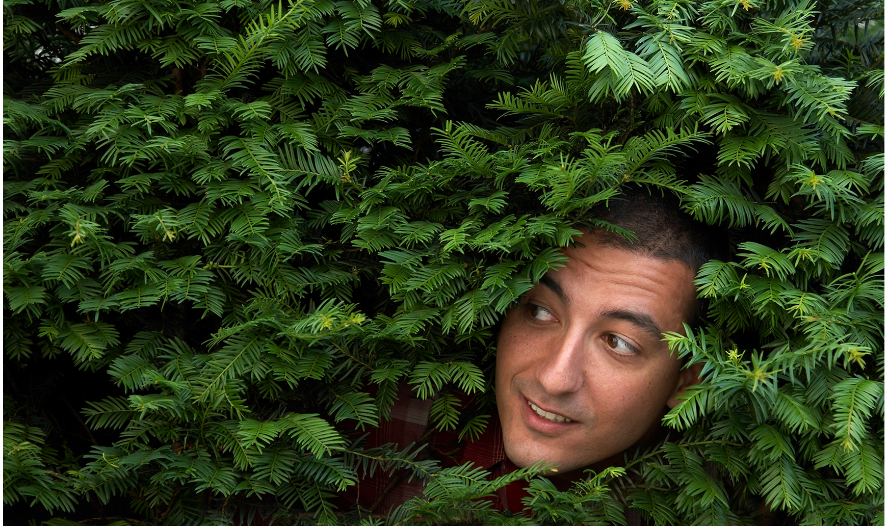 Man looking through bushes